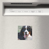 Berner Berghond met Grote Tongmagneet Magneet (Insitu (Vaatwasser))