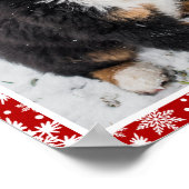 Berner berghond Op Rode en Witte Sneeuwvlok Poster (Hoek)