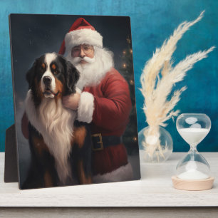 Berner Berghond Sinterklaas Feestelijke Kerstmis Fotoplaat