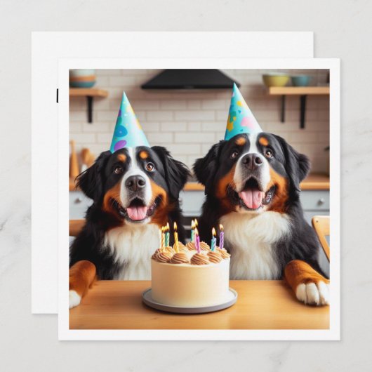 Berner Berghond uitnodiging, Hond verjaardag Kaart (Voorkant / Achterkant)