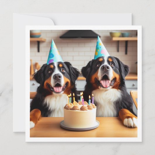 Berner Berghond uitnodiging, Hond verjaardag Kaart (Voorkant)