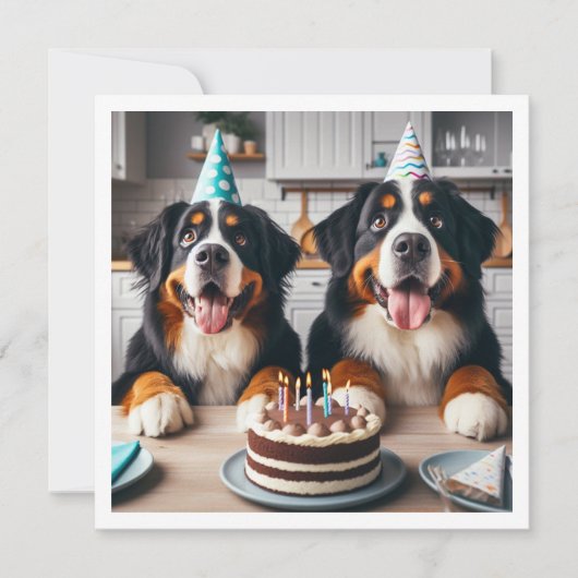 Berner Berghond uitnodiging, Hond verjaardag Kaart (Voorkant)