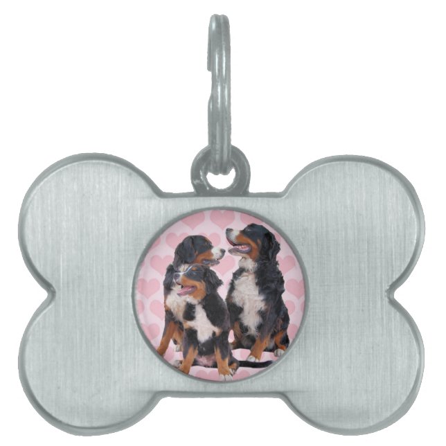 Berner Berghonden met Roze Harten Huisdieren Naamplaatje (voorkant)