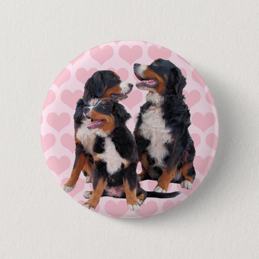 Berner Berghonden met Roze Harten Ronde Button 5,7 Cm (Voorkant)
