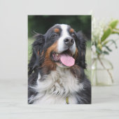 Berner Berner Hond Verjaardag Kaart (Staand voorkant)