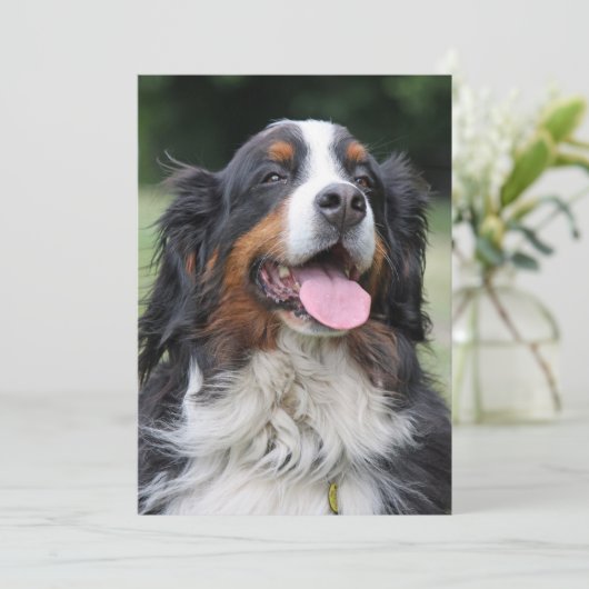 Berner Berner Hond Verjaardag Kaart (Staand voorkant)
