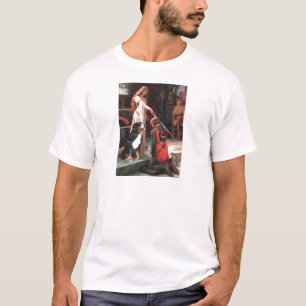 Berner - De onderscheiding T-shirt