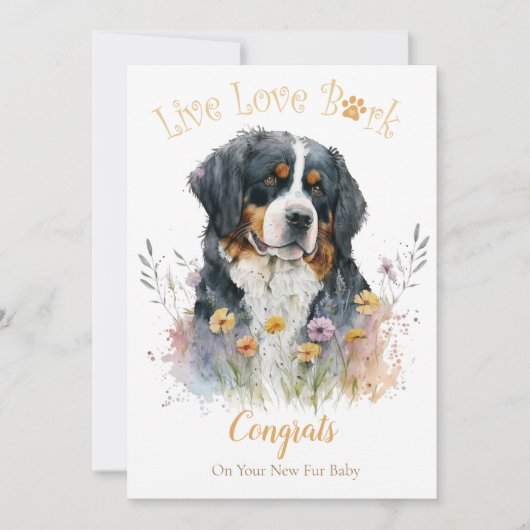 Berner hond adoptie, Gotcha dag Kaart (Voorkant)