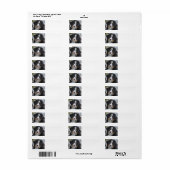 Berner Hond Puppy Tweede Etiket (Full Sheet)