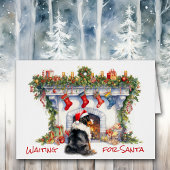 Berner Hond Wacht op Kerstmis Open haard