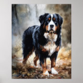 Berner Mountain Dog Art Print Poster (Voorkant)