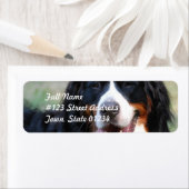 Berner Mountain Dog Label (Insitu)