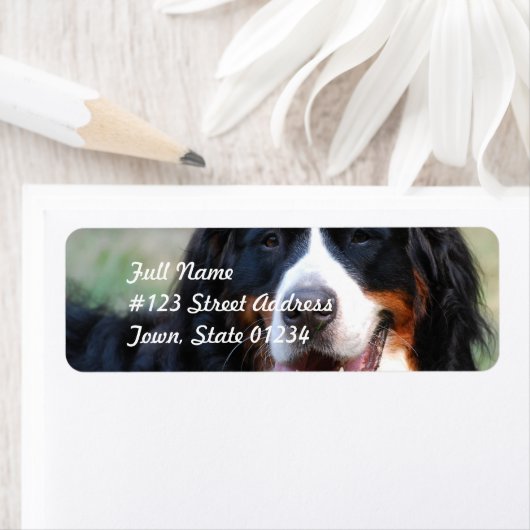 Berner Mountain Dog Label (Insitu)