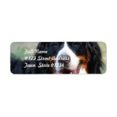 Berner Mountain Dog Label (Voorkant)