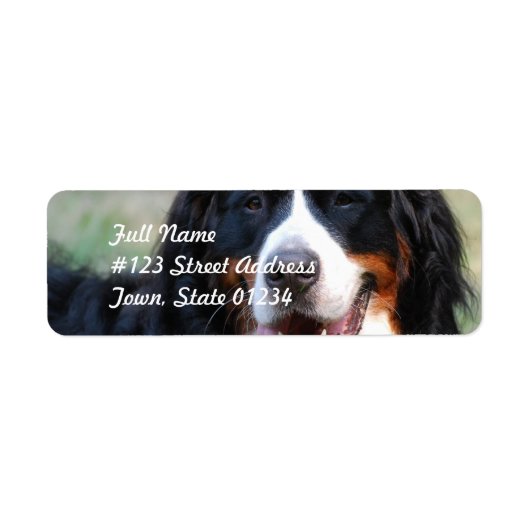 Berner Mountain Dog Label (Voorkant)