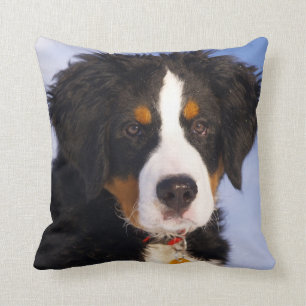Berner Mountain Dog - Leuke Puppy Foto Kussen