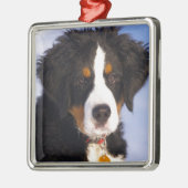 Berner Mountain Dog - Leuke Puppy Foto Metalen Ornament (Links)