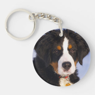 Berner Mountain Dog - Leuke Puppy Foto Sleutelhanger