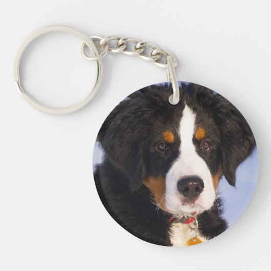 Berner Mountain Dog - Leuke Puppy Foto Sleutelhanger (Voorkant)