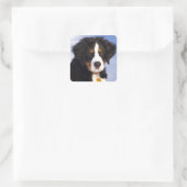 Berner Mountain Dog - Leuke Puppy Foto Vierkante Sticker (Tas)