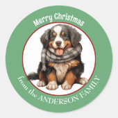 Berner Mountain Dog Pup in Winter Sjaal Kerstmis Ronde Sticker (Voorkant)