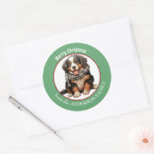 Berner Mountain Dog Pup in Winter Sjaal Kerstmis Ronde Sticker (Envelop)