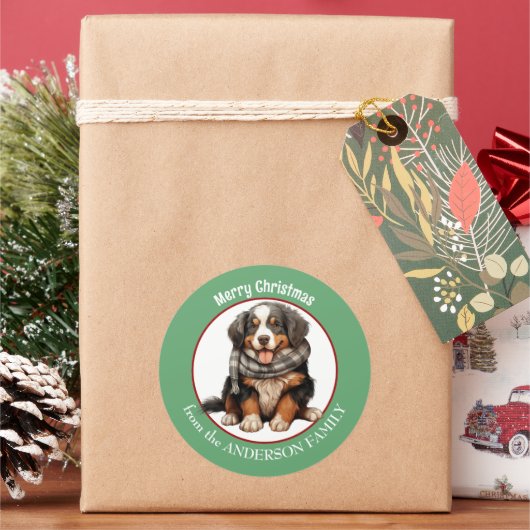 Berner Mountain Dog Pup in Winter Sjaal Kerstmis Ronde Sticker (Feestdagen)