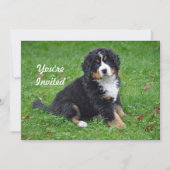 Berner Mountain Dog Puppy Foto Verjaardag Kaart (Voorkant)