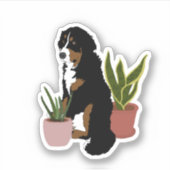 Berner Mountain Dog Puppy Sticker (Voorkant)