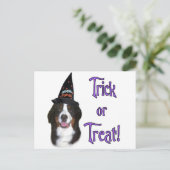 Berner Mountain Dog Trick Briefkaart (Staand voorkant)