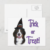 Berner Mountain Dog Trick Briefkaart (Voorkant / Achterkant)