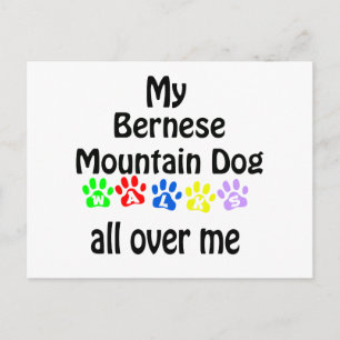 Berner Mountain Dog Walks Design Briefkaart
