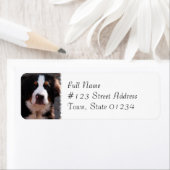 Berner Mountain Hondenras adreslabel Etiket (Insitu)