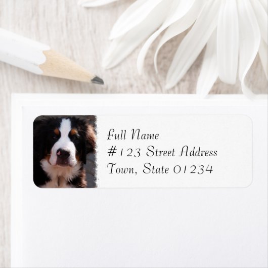 Berner Mountain Hondenras adreslabel Etiket (Insitu)