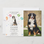 Berner Mountain Pawty Puppy Verjaardag Roze Foto Kaart (Voorkant)