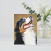 Berner Mountain Puppy Dog Blank Briefkaart (Staand voorkant)