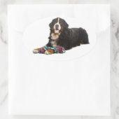 Berner Mountain Puppy Dog Sticker / zeehond (Tas)