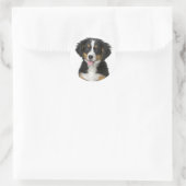 Berner Mountain Puppy Dog Sticker / zeehond (Tas)