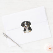 Berner Mountain Puppy Dog Sticker / zeehond (Envelop)