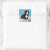 Berner Mountain Puppy Dog Sticker / zeehond (Tas)