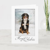 Berner Mt. Hond Kerst Kaart (Voorkant)
