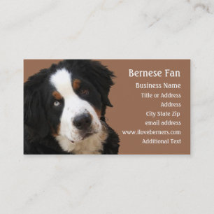 Berner Mtn Dog Visitekaartje - "Lucy"