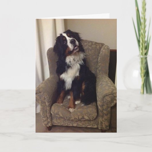 Berner Nation wenskaart Feestdagen Kaart (Voorkant)