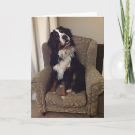 Berner Nation wenskaart Feestdagen Kaart