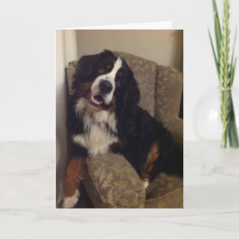 Berner Nation wenskaart Feestdagen Kaart