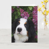 Berner Nation wenskaart (leeg) Kaart (Gele Bloem)