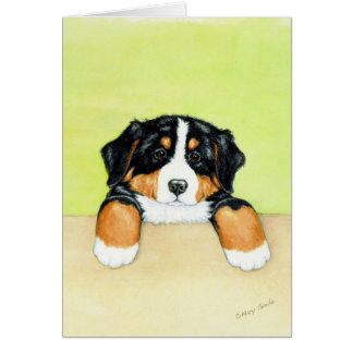 Berner Pup