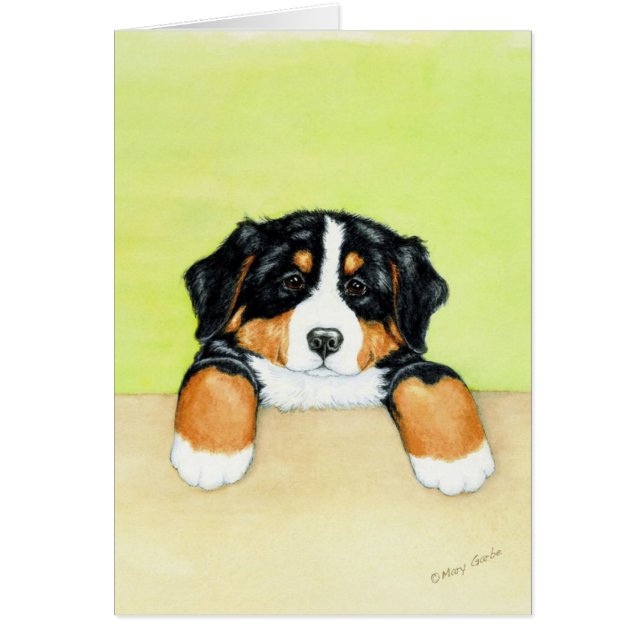 Berner Pup (Voorkant)