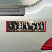 Berner Puppy-BUMPERS.. Bumpersticker (Op auto)