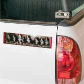 Berner Puppy-BUMPERS.. Bumpersticker (Op Truck)